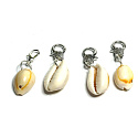 Kauri shell pendant natural 21 x 15 mm luck - fertility, 1 piece