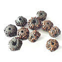 Rudraksha old Tibetan oil bead, hand polished - Nepal 15-17 mm