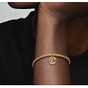 Charm Sterling silver 925 Gold plated Zodiac sign Sagittarius, bracelet pendant