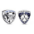 Charm Sterling silver 925 Marvel Guardians of the Galaxy, Rocket Raccoon and Groot's emblem, bracelet bead