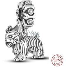 Charm Sterling Silver 925 Dog - Yorkshire Terrier - Yorkie, Animal Bracelet Pendant Charm Sterling Silver 925 Dog - Yorkshire Terrier - Yorkie, Animal Bracelet Pendant