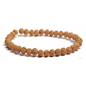 Rudraksha elastic bracelet made of natural seed, ball 6 mm / 16 - 17 cm