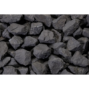 Shungite raw magical Stone of Life 30 - 40g, L - XL 1 piece Shungite raw magical Stone of Life 30 - 40g, L - XL 1 piece