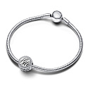 Charm Sterling silver 925 Charm with zebra print, bead on bracelet animal