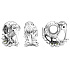 Charm Sterling silver 925 Kiwi and ferns, New Zealand symbol, bead on travel bracelet