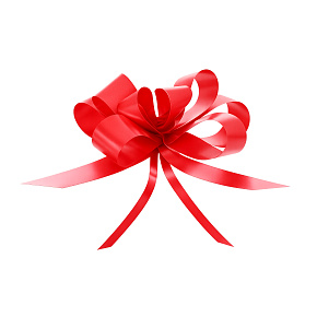 Cockade ribbon drawstring decorative red 50 cm