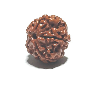 Rudraksha natural bead 18 mm 1 piece Rudraksha natural bead 18 mm 1 piece