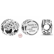 Sterling silver 925 Tree of Life - family is where love grows, bead for bracelet family