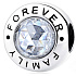 Charm Sterling silver 925 Family forever, bead on bracelet family