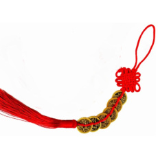 6 Chinese FengShui coins for wealth, luck, success