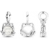 Sterling silver 925 My kitty - my best friend, 2in1 pendant for pet bracelet