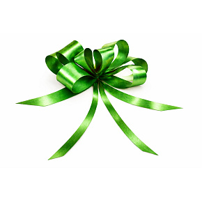 Cockade ribbon drawstring decorative green 50 cm