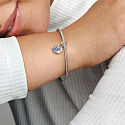 Charm Sterling silver 925 Sparkling Swallow and quote, 2in1 animal bracelet pendant
