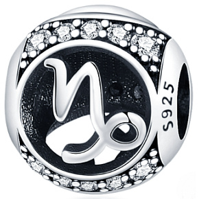 Charm Znamení zvěrokruhu Kozoroh + zirkony, korálek na náramek