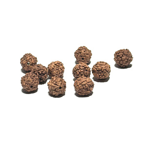 Rudraksha natural bead 7 mm, 10 pieces