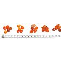 Carnelian Botswana natural pebble, size S 5 pieces, Teach us here and now