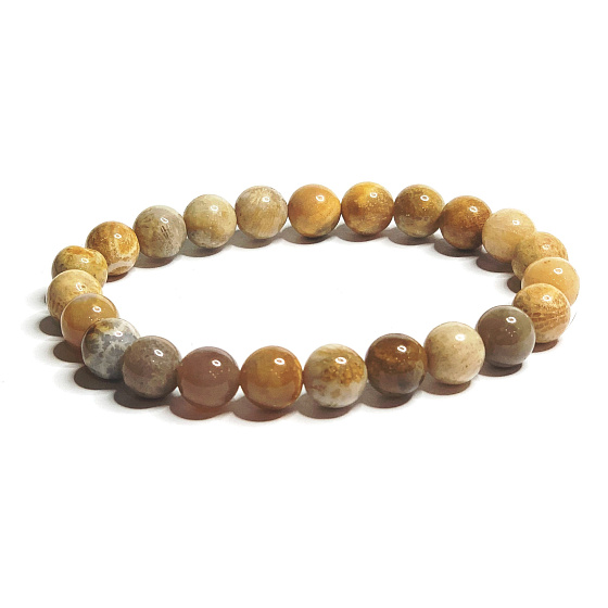 Coral fossil Chrysanthemum bracelet elastic natural stone, ball 8 mm / 16 - 17 cm
