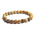 Coral fossil Chrysanthemum bracelet elastic natural stone, ball 8 mm / 16 - 17 cm