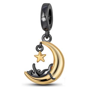 Sterling silver 925 Cat on the moon - the playful nature of a feline companion, pet bracelet pendant