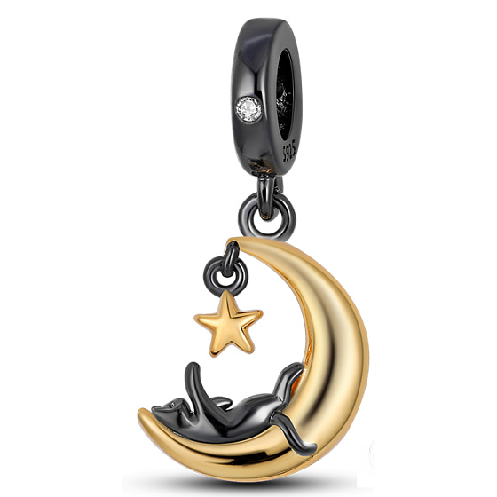 Sterling silver 925 Cat on the moon - the playful nature of a feline companion, pet bracelet pendant