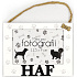 Nekupto Pets wooden photo frame for hanging Haf 15,5 x 11,8 x 1,2 cm