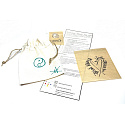 Burmese Jadeite AAA 100% elastic bracelet, natural stone, 8 mm bead / 17 cm