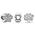 Charm Sterling silver 925 paw print, bead on bracelet pet