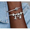 Charm Sterling silver 925 Paw and heart, bead on bracelet pet