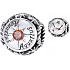 Charm Sterling silver 925 Zodiac sign, cubic zirconia Aquarius, bead for bracelet