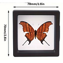 3D plovoucí rámeček s folií černý 7 x 7 cm