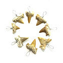 Shark tooth pendant 1 piece