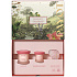 Payot Roselift Collagen Jour day lifting cream 50 ml + Roselift Collagen Regard eye lifting care 15 ml + Gua Sha rose quartz, cosmetic set for women