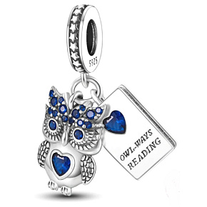 Charm Sterling silver 925 Clever Owl - reading, animal bracelet pendant