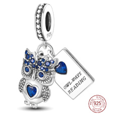 Charm Sterling silver 925 Clever Owl - reading, animal bracelet pendant
