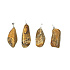Jasper picture Trommel pendant natural stone M, approx. 3-3,5 cm, stone of positive energy