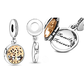 Sterling silver 925 Family Roots with Forever inscription, Tree of Life openable family bracelet pendant Sterling silver 925 Family Roots with Forever inscription, Tree of Life openable family bracelet pendant