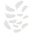 White wooden feathers 12 pieces mix sizes