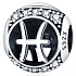 Pisces, zodiac sign, silver + zirconia bracelet pendant, ball 9 mm 1 piece